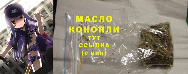 крисы Верхний Тагил