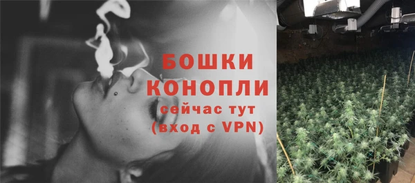 крисы Верхний Тагил