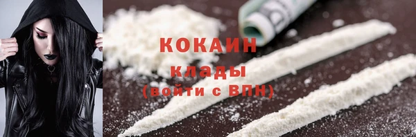 крисы Верхний Тагил