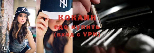 крисы Верхний Тагил