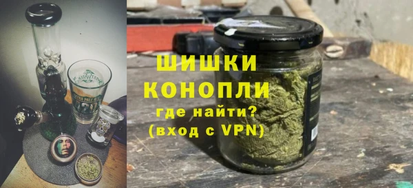 крисы Верхний Тагил