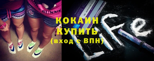 крисы Верхний Тагил